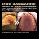Онлайн-курс "Фотопротокол на смартфон" Мандзюк Ростислав